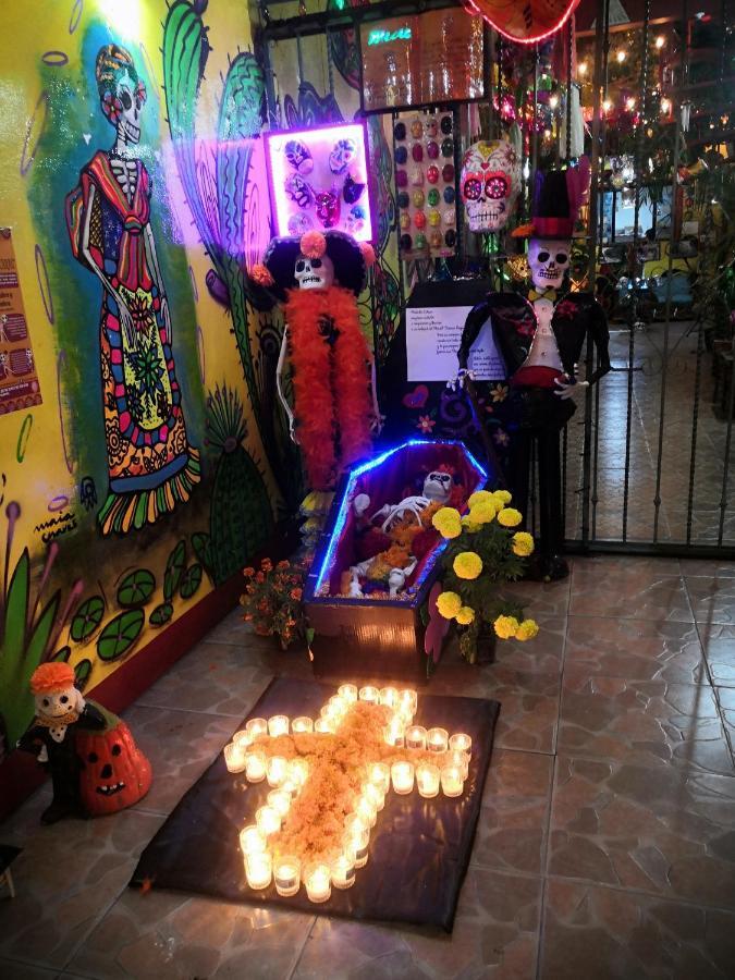Hostal Oaxaca Magic Kültér fotó