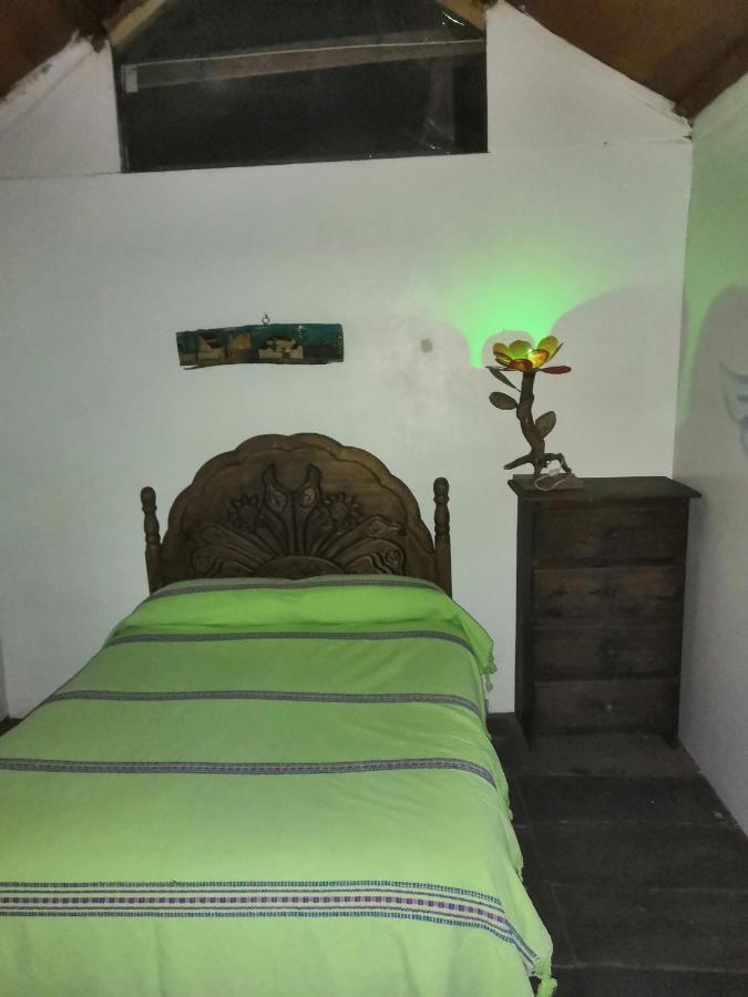 Hostal Oaxaca Magic Kültér fotó